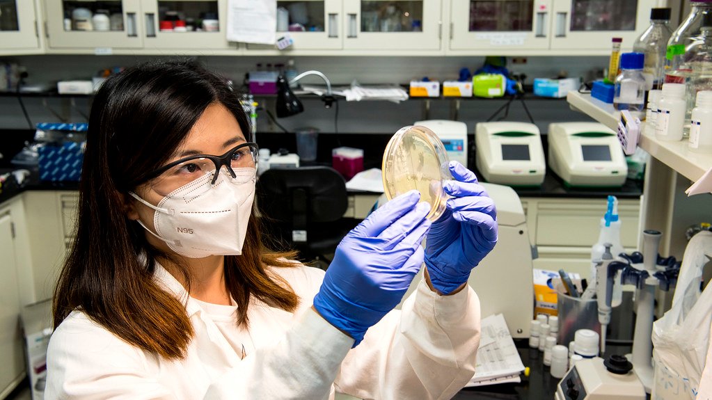 Gut Reactions: Internal Waste Processing Systems (image credits: flickr)