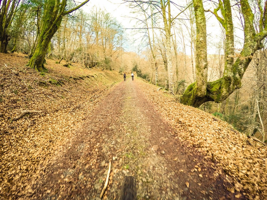 The Circle Unbroken: Waste as Life's Foundation (image credits: flickr)