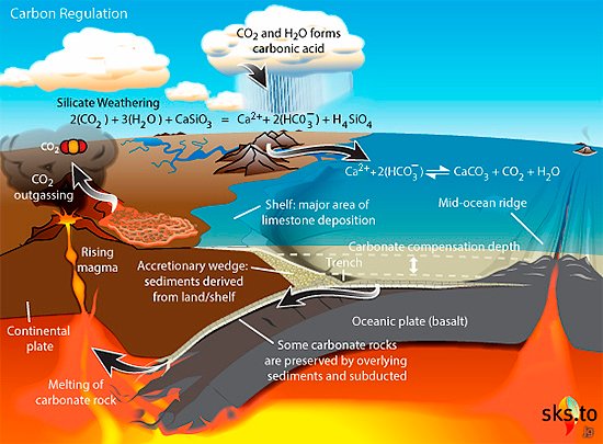 The Carbon Cycle Connection (image credits: wikimedia)