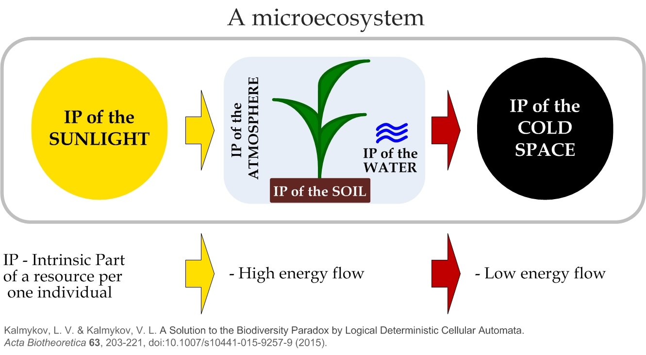 Food Webs: The Ripple Effect of Plant Production (image credits: wikimedia)