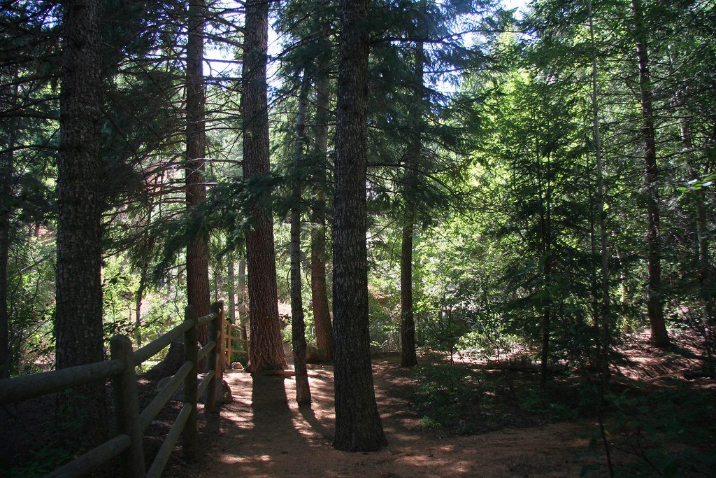 The Immediate Aftermath of Reproductive Cessation (image credits: flickr)