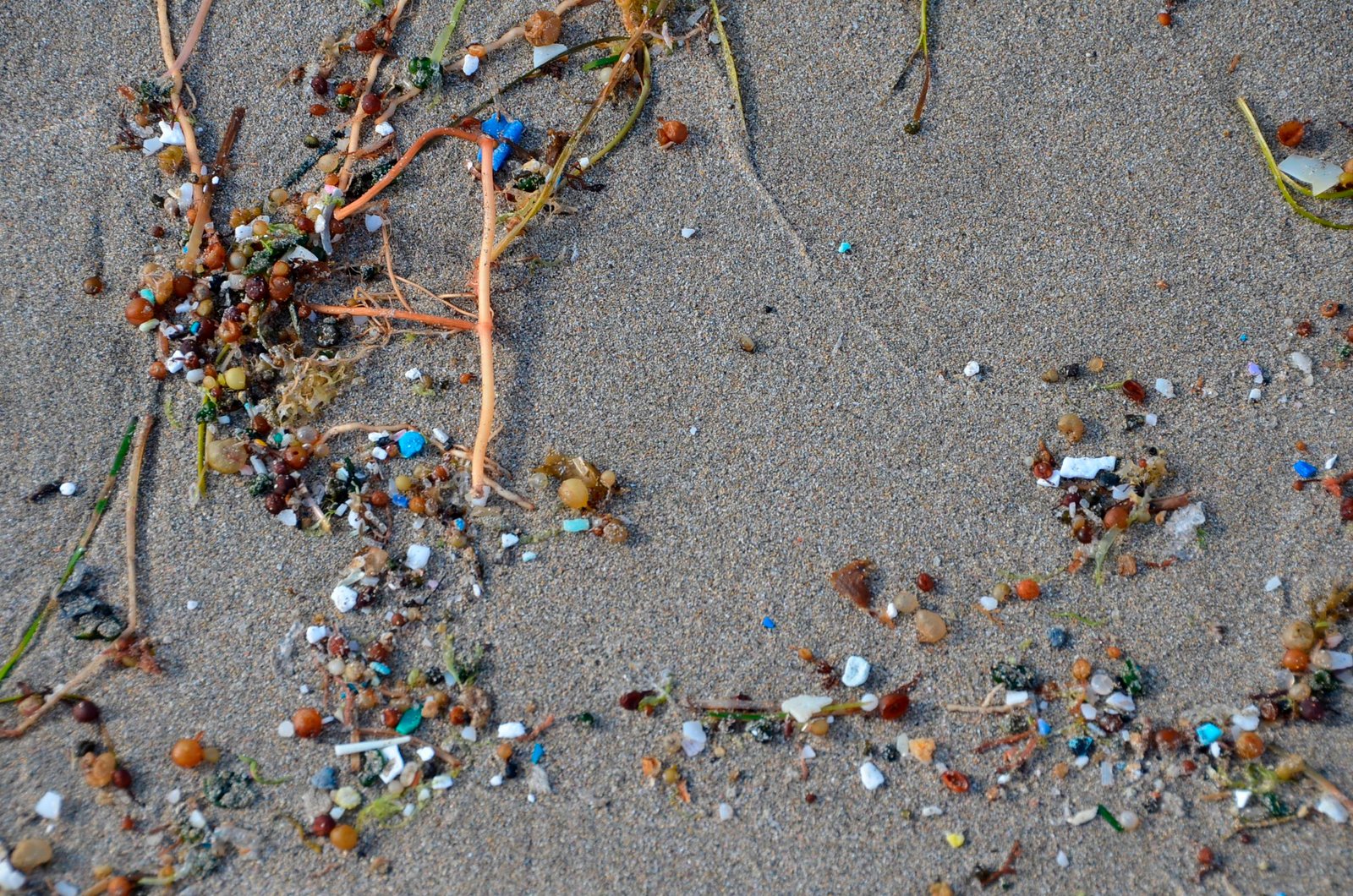 The Role of Density in Plastic Travel (image credits: wikimedia)