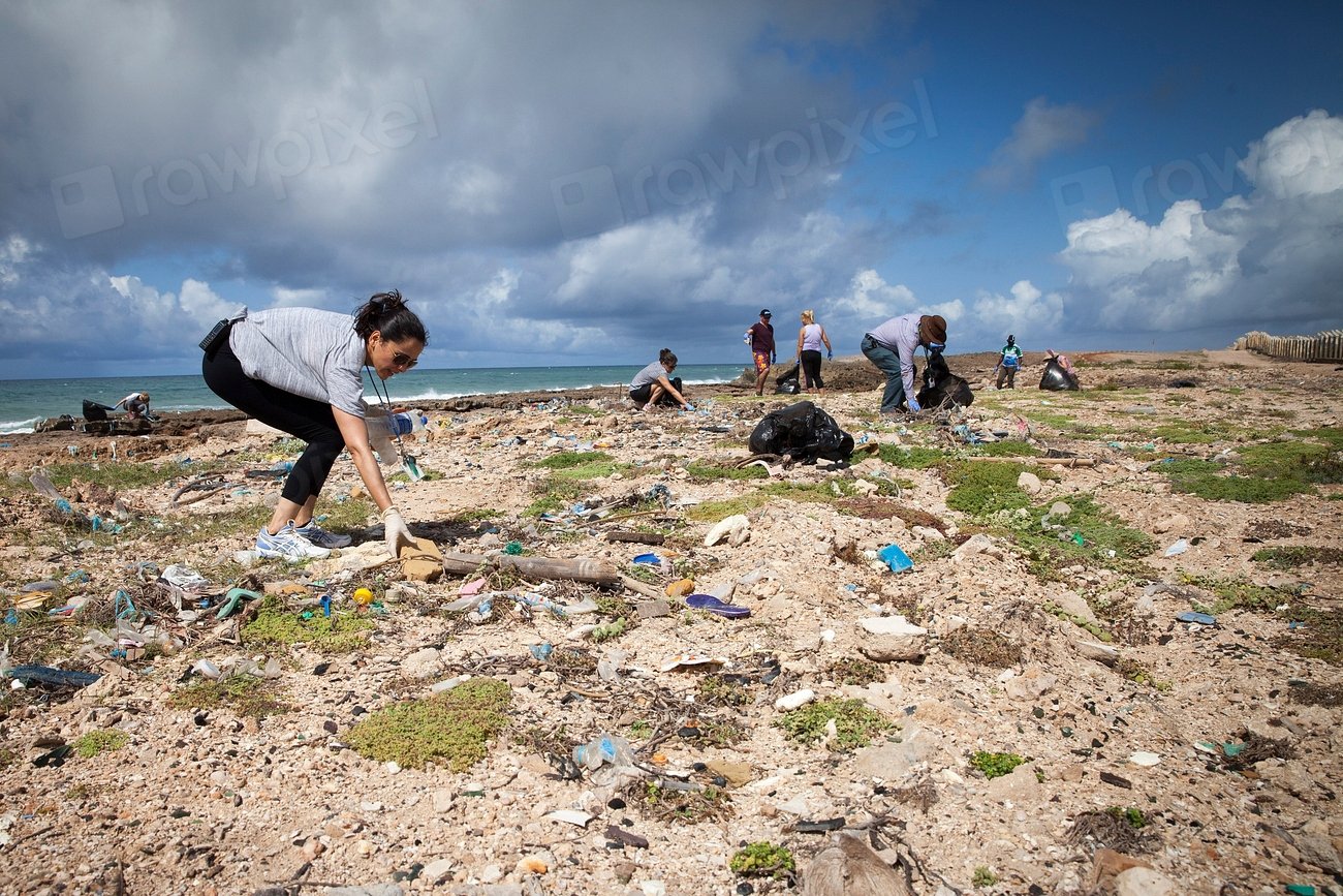 Climate Change: Accelerating Plastic Distribution (image credits: rawpixel)