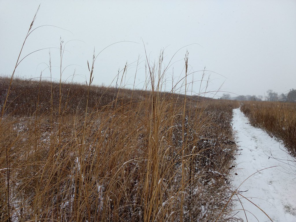 Water Warriors of the Midwest (image credits: flickr)
