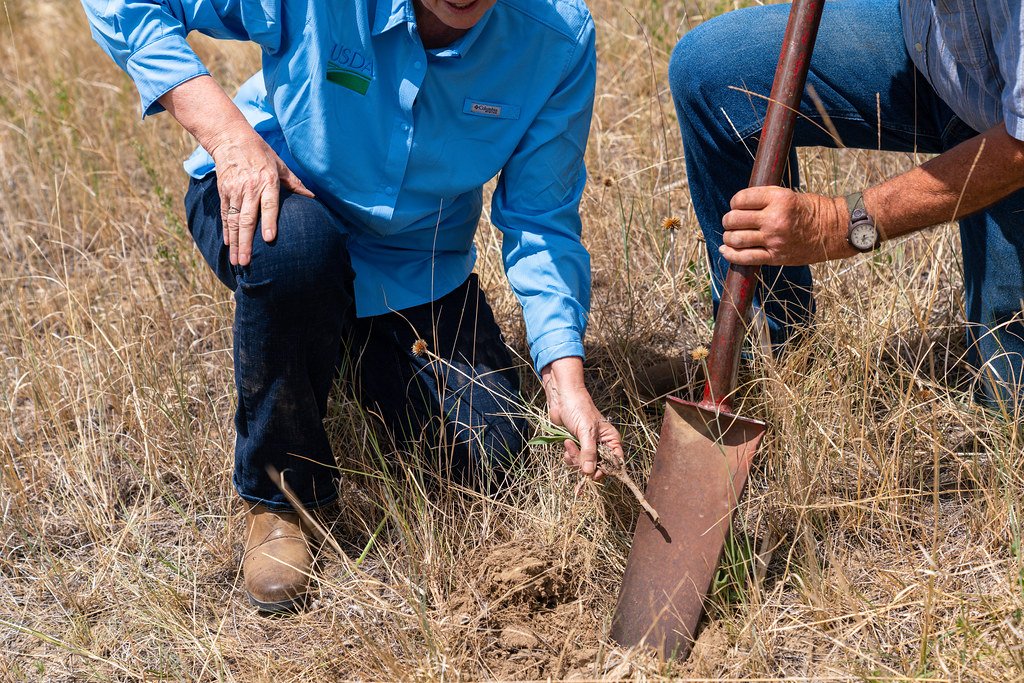 The Soil Builders (image credits: flickr)