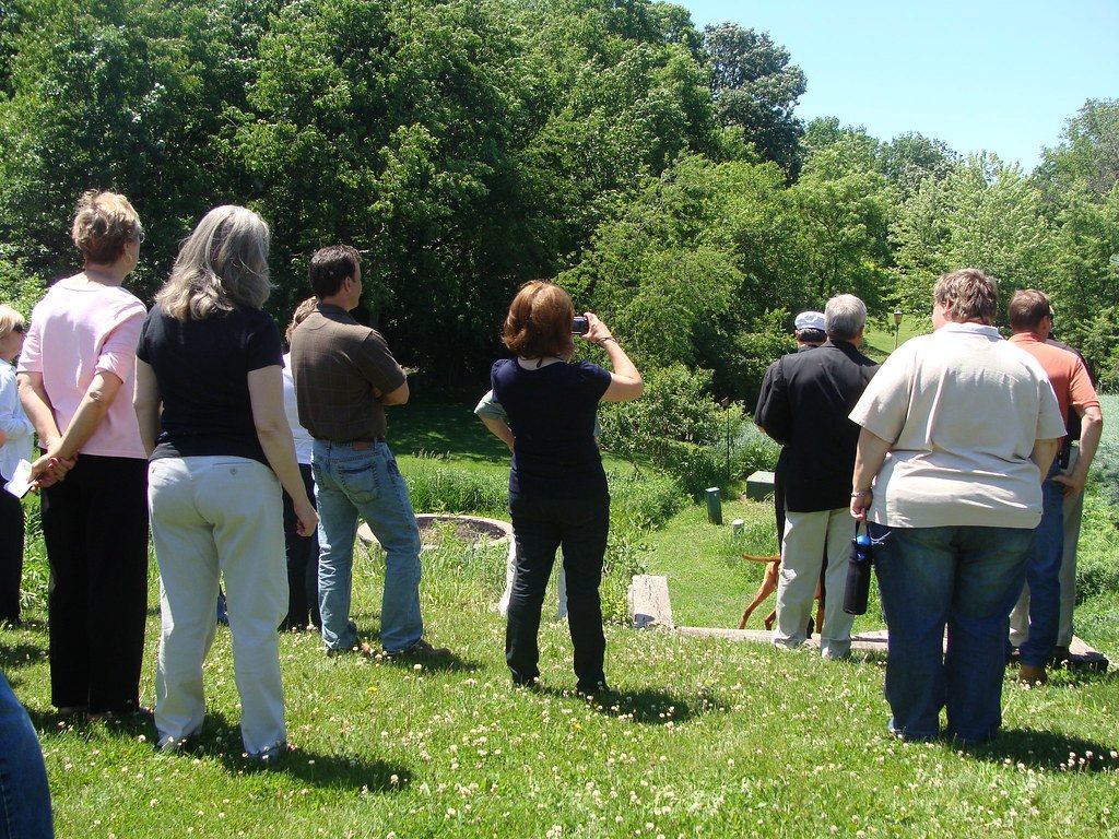 The Ripple Effects (image credits: flickr)