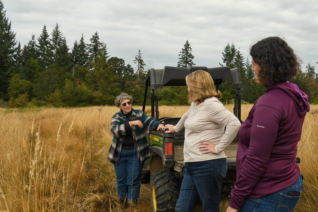 Challenges and Obstacles (image credits: flickr)