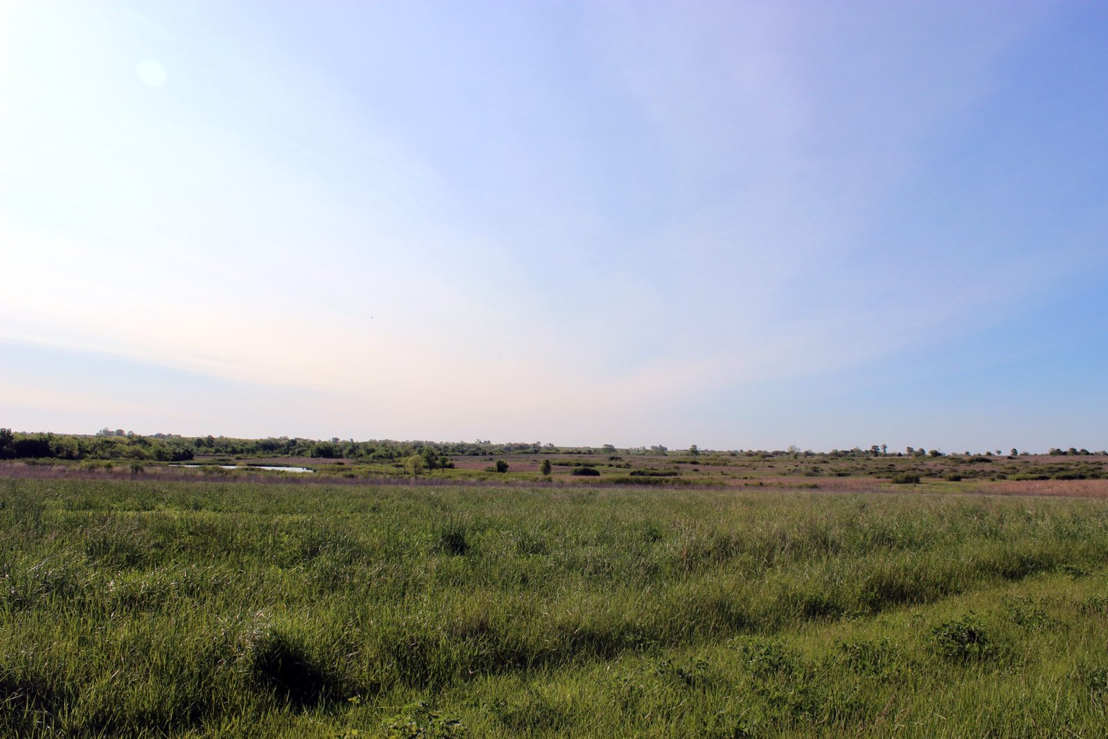 The New Prairie Renaissance (image credits: wikimedia)