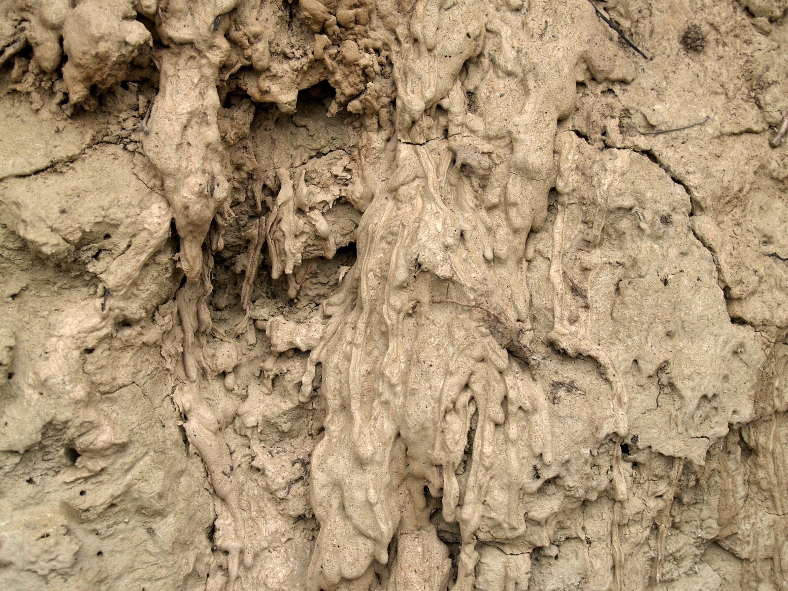 Loess Deposits: Wind-Blown Climate Chronicles (image credits: wikimedia)