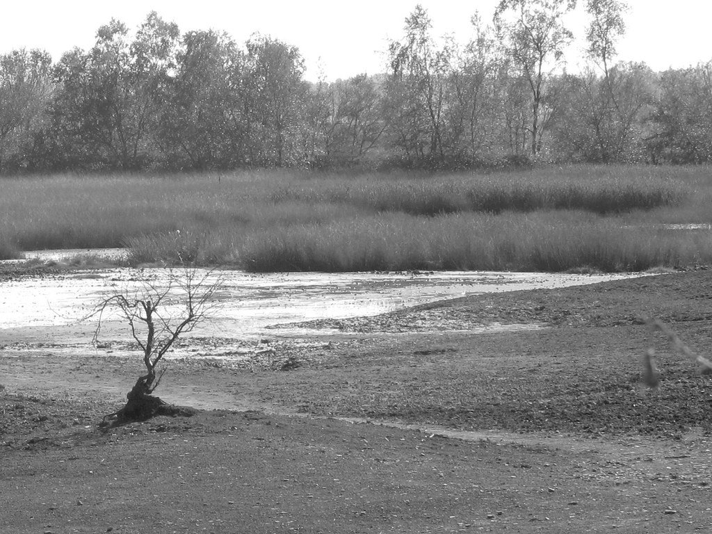 Bog Sediments: Acidic Archives of Environmental Change (image credits: flickr)