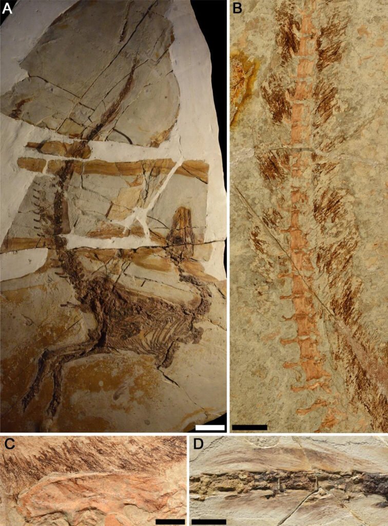 Exceptional Preservation: When Everything Goes Right
