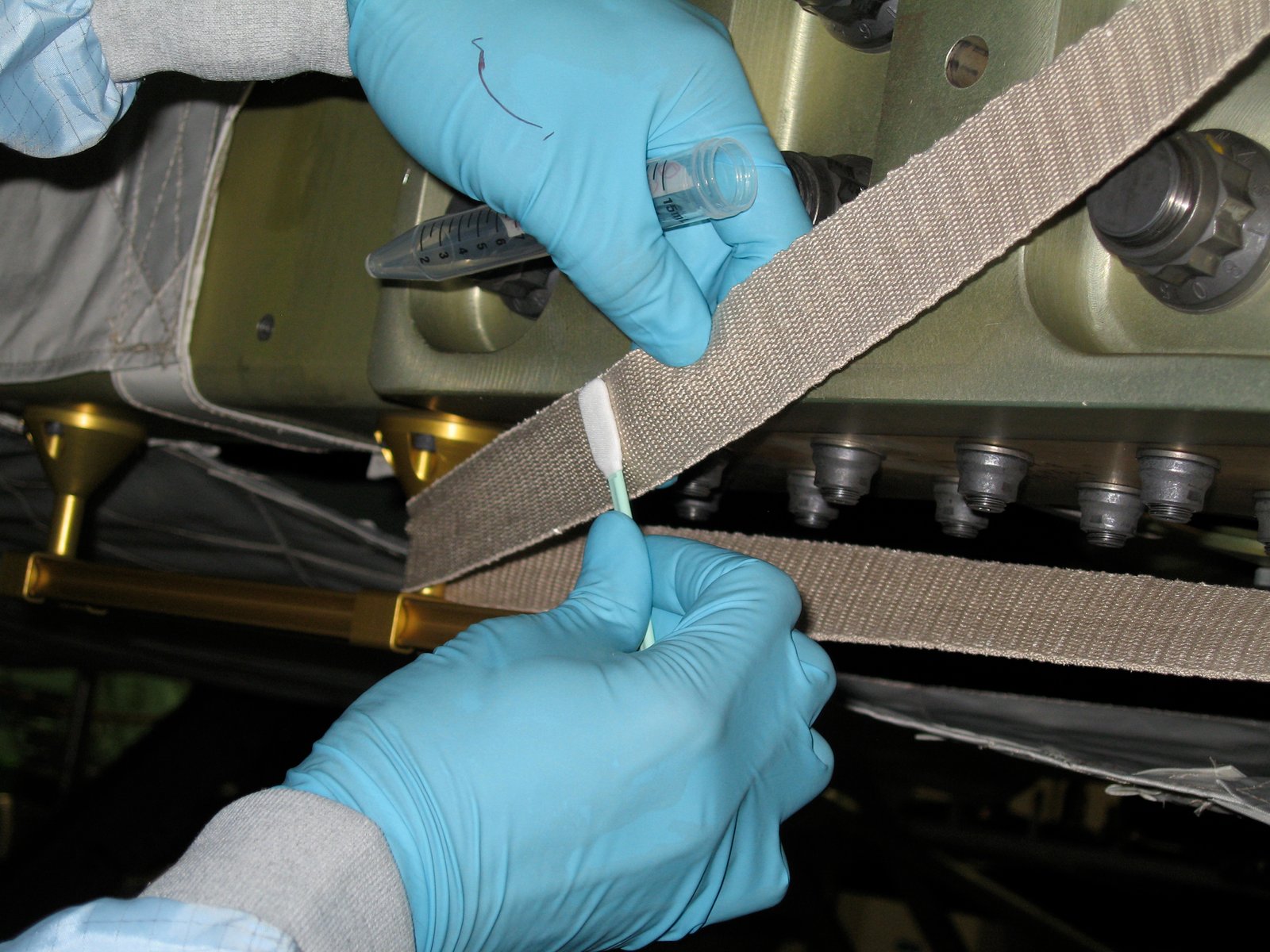 Future Partnerships with Microbes (image credits: wikimedia)