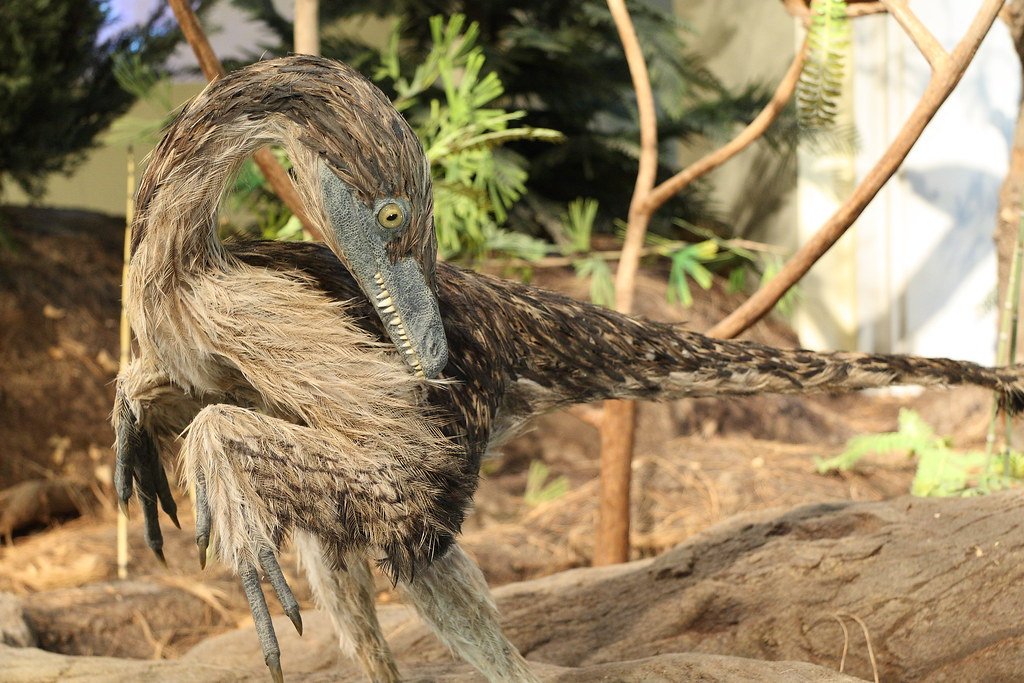 The Feather Revolution: Dinosaurs as Birds (image credits: flickr)