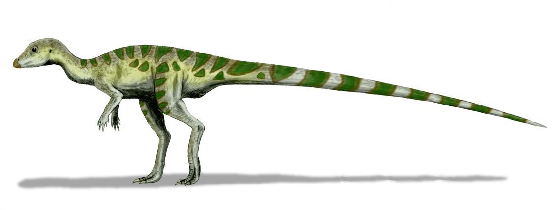 Environmental Adaptations: Surviving Ancient Worlds (image credits: By Nobu Tamura (http://spinops.blogspot.com), CC BY 3.0, https://commons.wikimedia.org/w/index.php?curid=19461772)