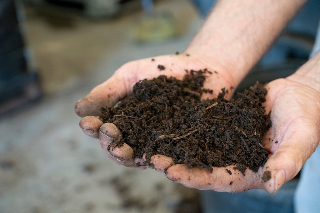 The Role of Soil Microbes in Carbon Storage (image credits: flickr)