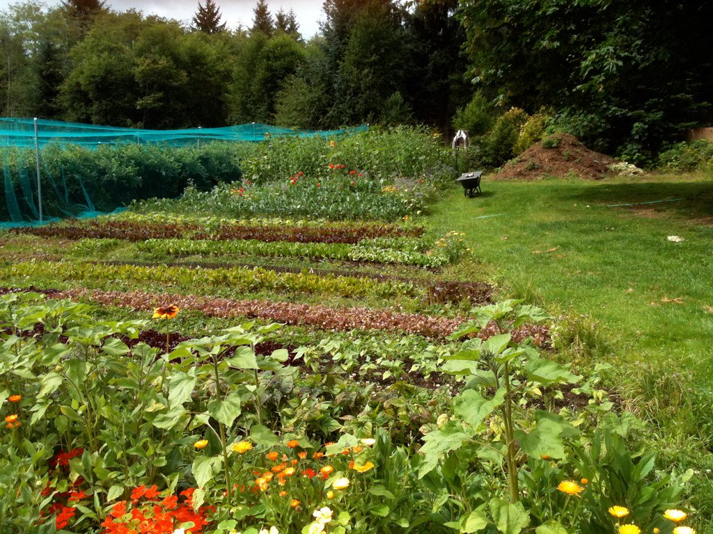 Future Frontiers: Next-Generation Plant Solutions (image credits: flickr)