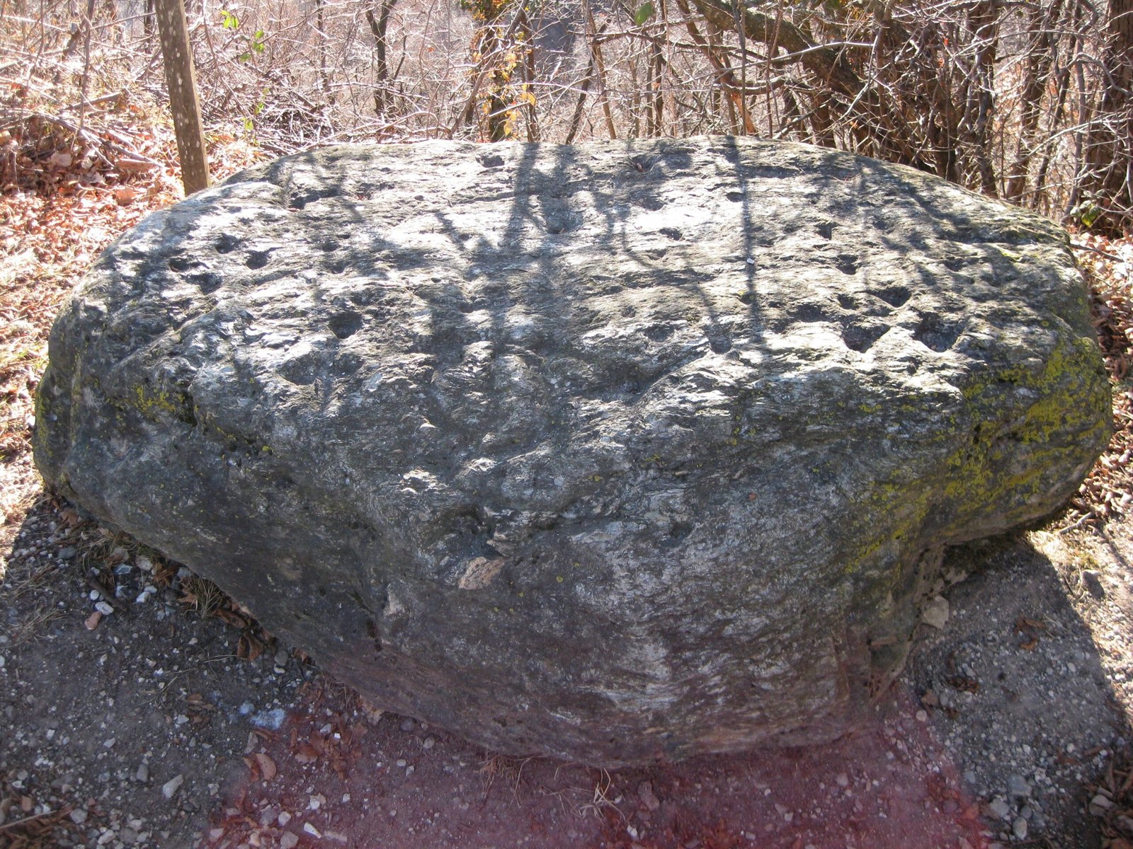 The Petroglyphs That Speak to Stars (image credits: wikimedia)