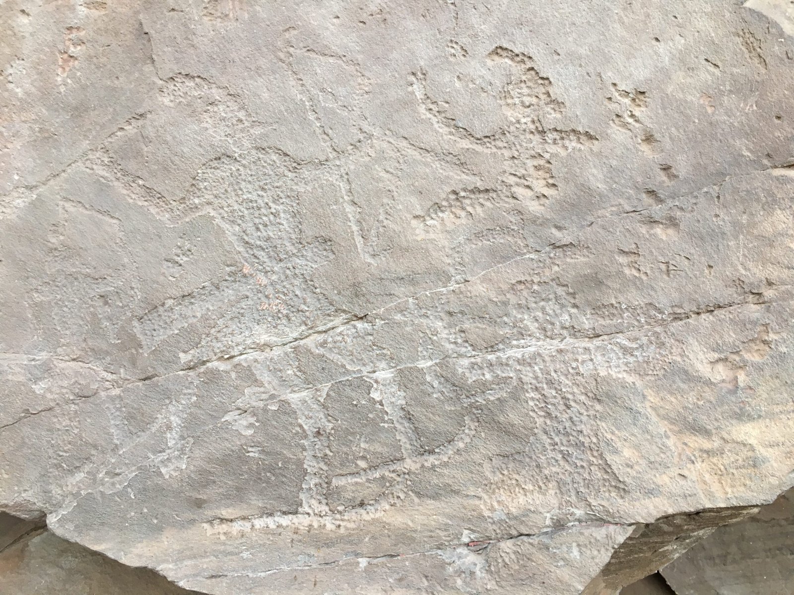 Climate Clues Carved in Stone (image credits: By Dolche far niente, CC BY-SA 4.0, https://commons.wikimedia.org/w/index.php?curid=72995244)