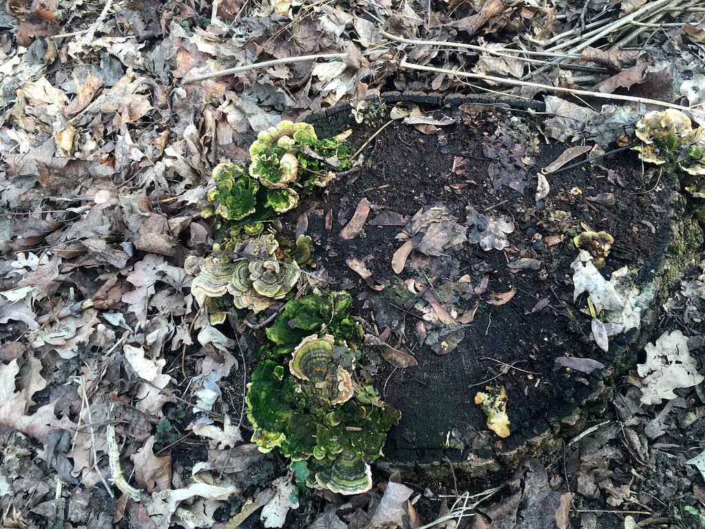 The Invisible Network Underground (image credits: flickr)