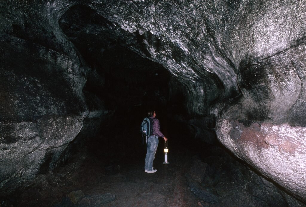 The Hidden Microforests Inside Caves, Grown in Eternal Twilight