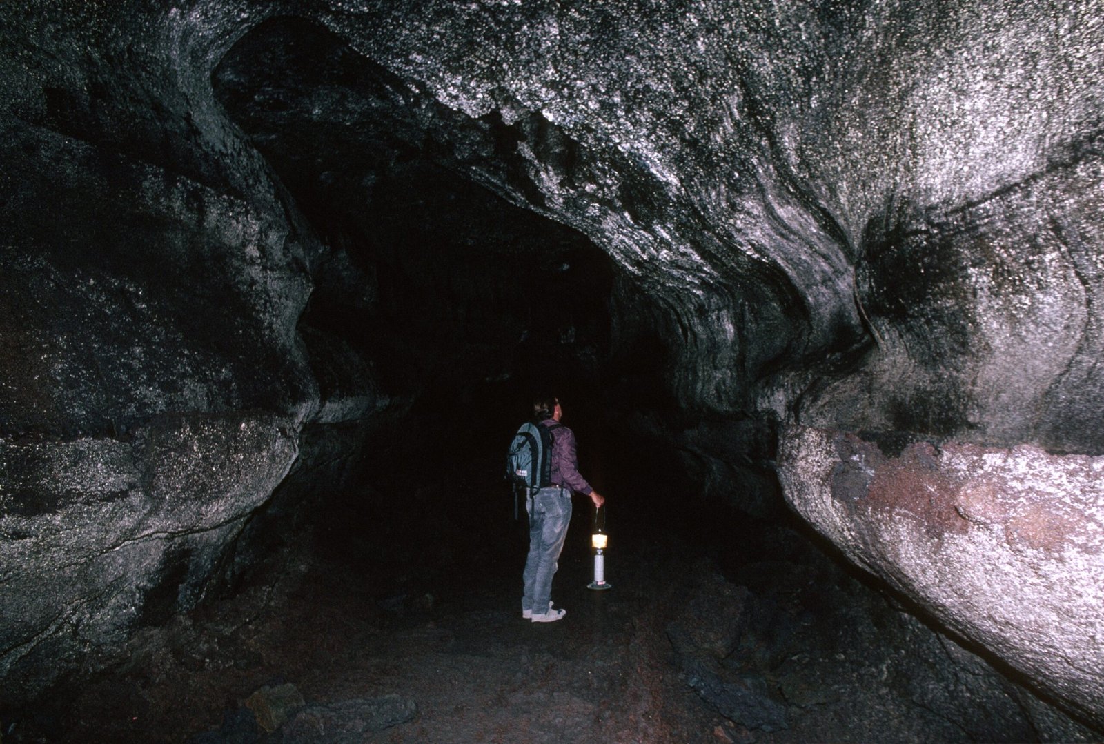 The Hidden Microforests Inside Caves, Grown in Eternal Twilight