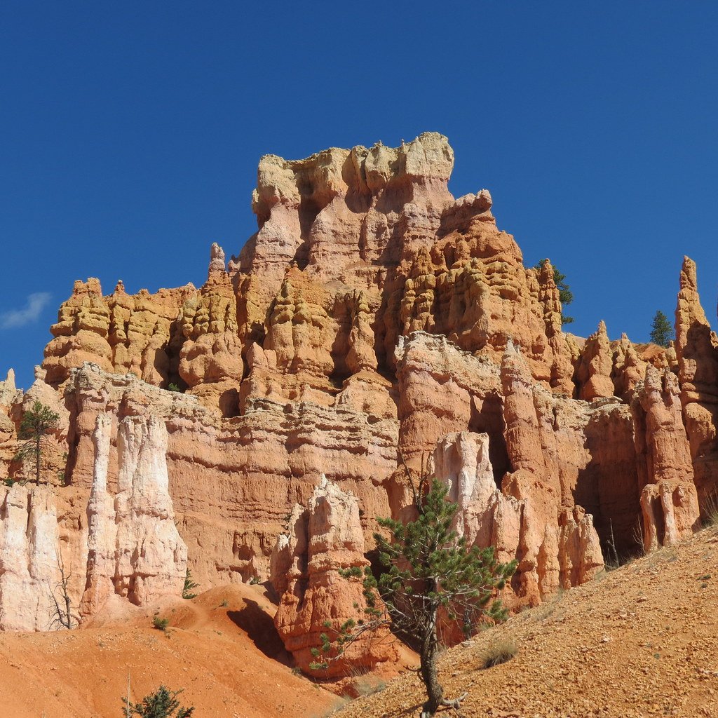Reading the Stories Written in Stone (image credits: flickr)