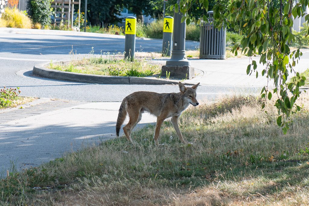 Success Stories from Around the World (image credits: flickr)