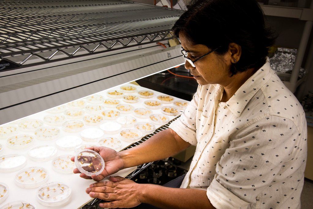 Preparing for a Gene-Edited Future (image credits: flickr)