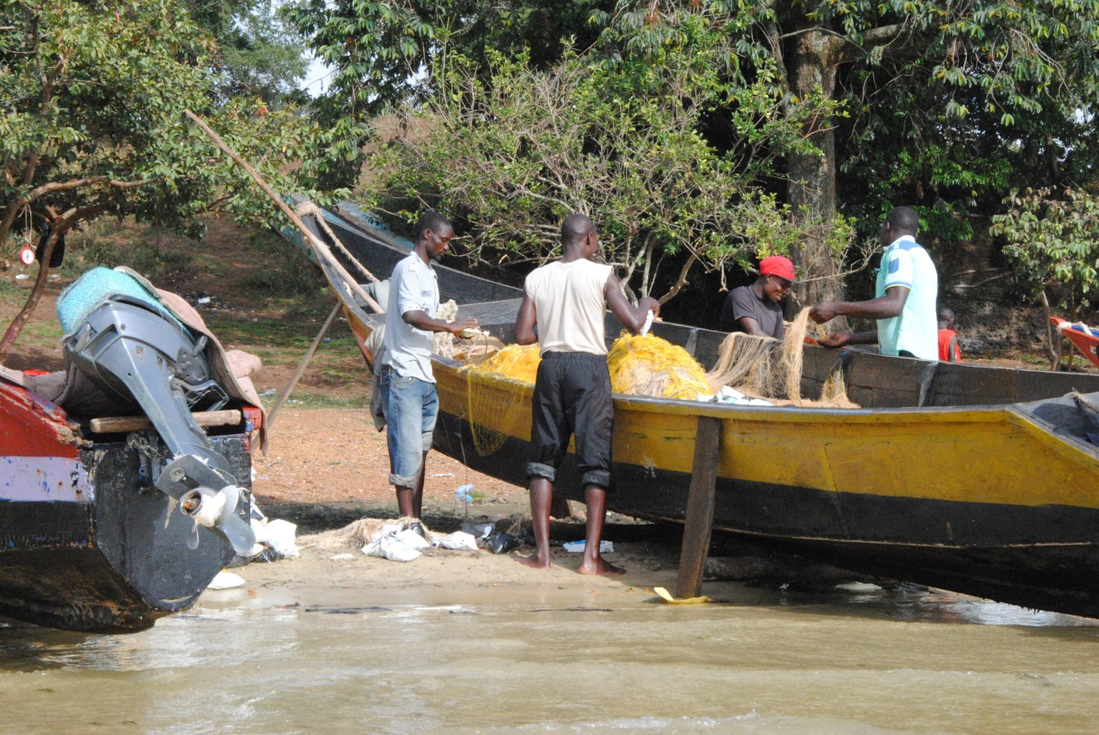 The Accidental Invasion: How We Became Nature's Ultimate Hitchhiker Service (image credits: By Jöseph Ashaba, CC BY-SA 4.0, https://commons.wikimedia.org/w/index.php?curid=64042412)