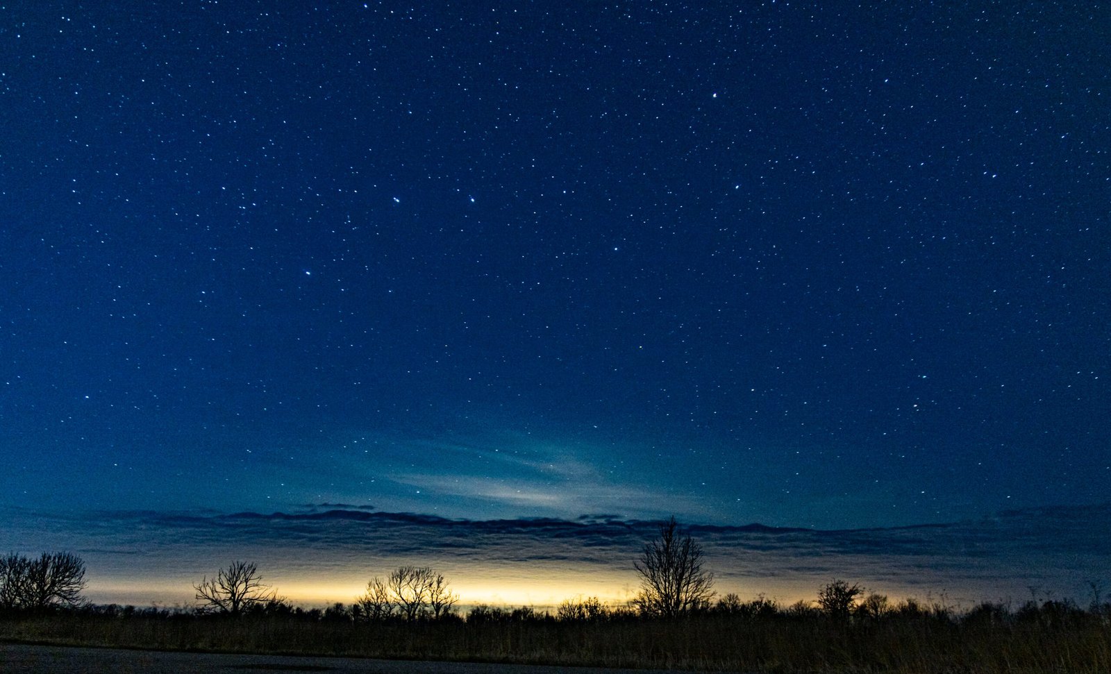 Light Pollution: Disrupting Nature's Ancient Rhythms (image credits: wikimedia)