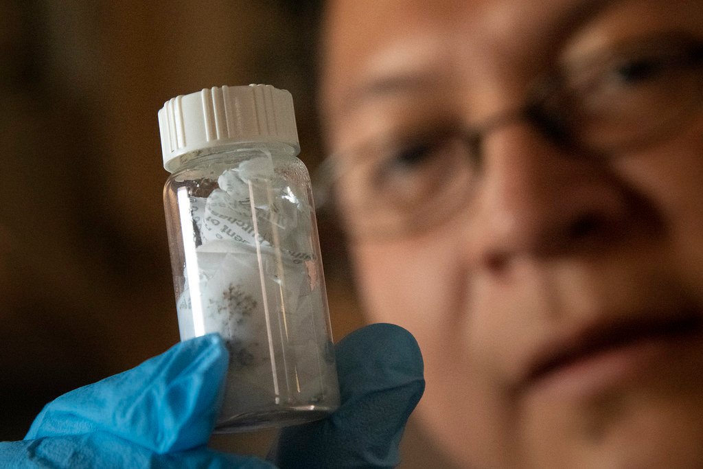 The Hormonal Disruption Highway: Chemicals That Confuse Biology (image credits: flickr)