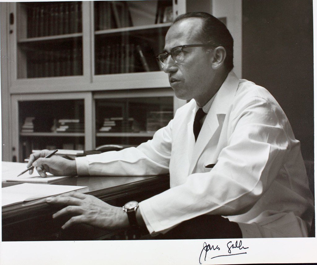 When Personal Tragedy Becomes Scientific Motivation (image credits: flickr)