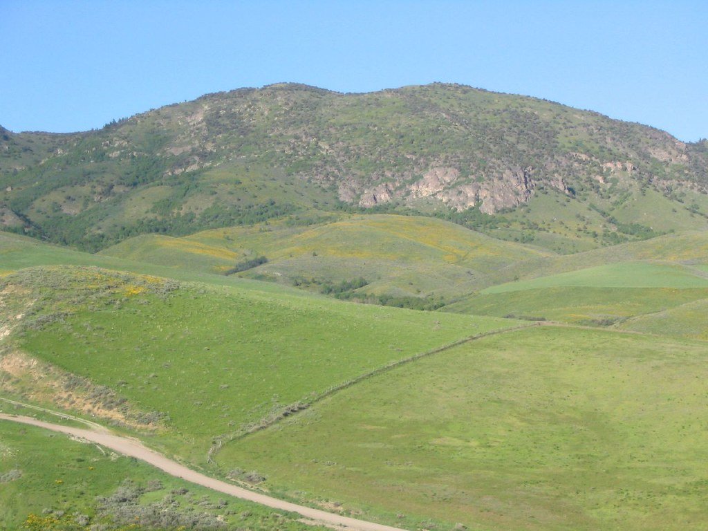 The Hidden Carbon Vaults Beneath Our Feet (image credits: flickr)