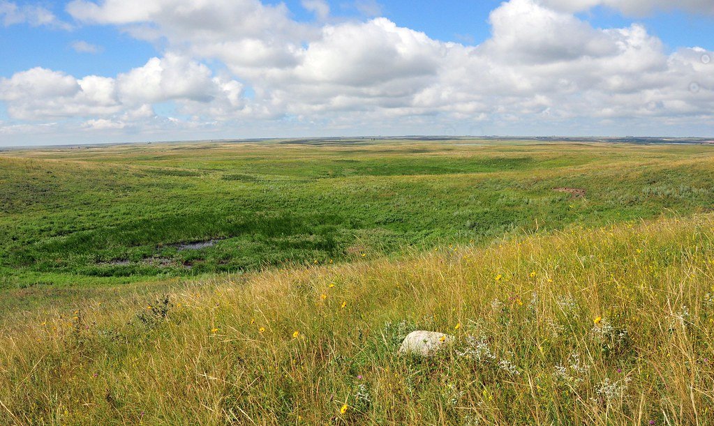 The Role of Policy and Protection (image credits: flickr)