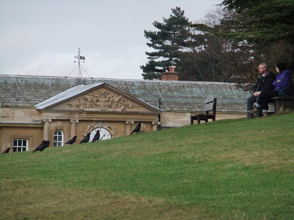 Conclusion (image credits: flickr)