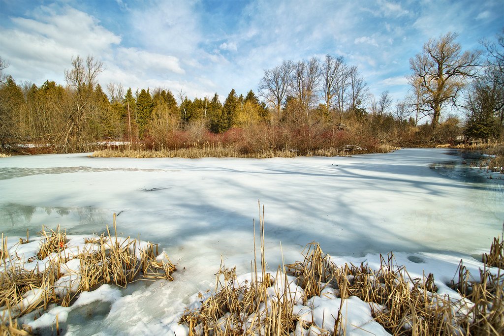 Preservation and Future Development (image credits: flickr)