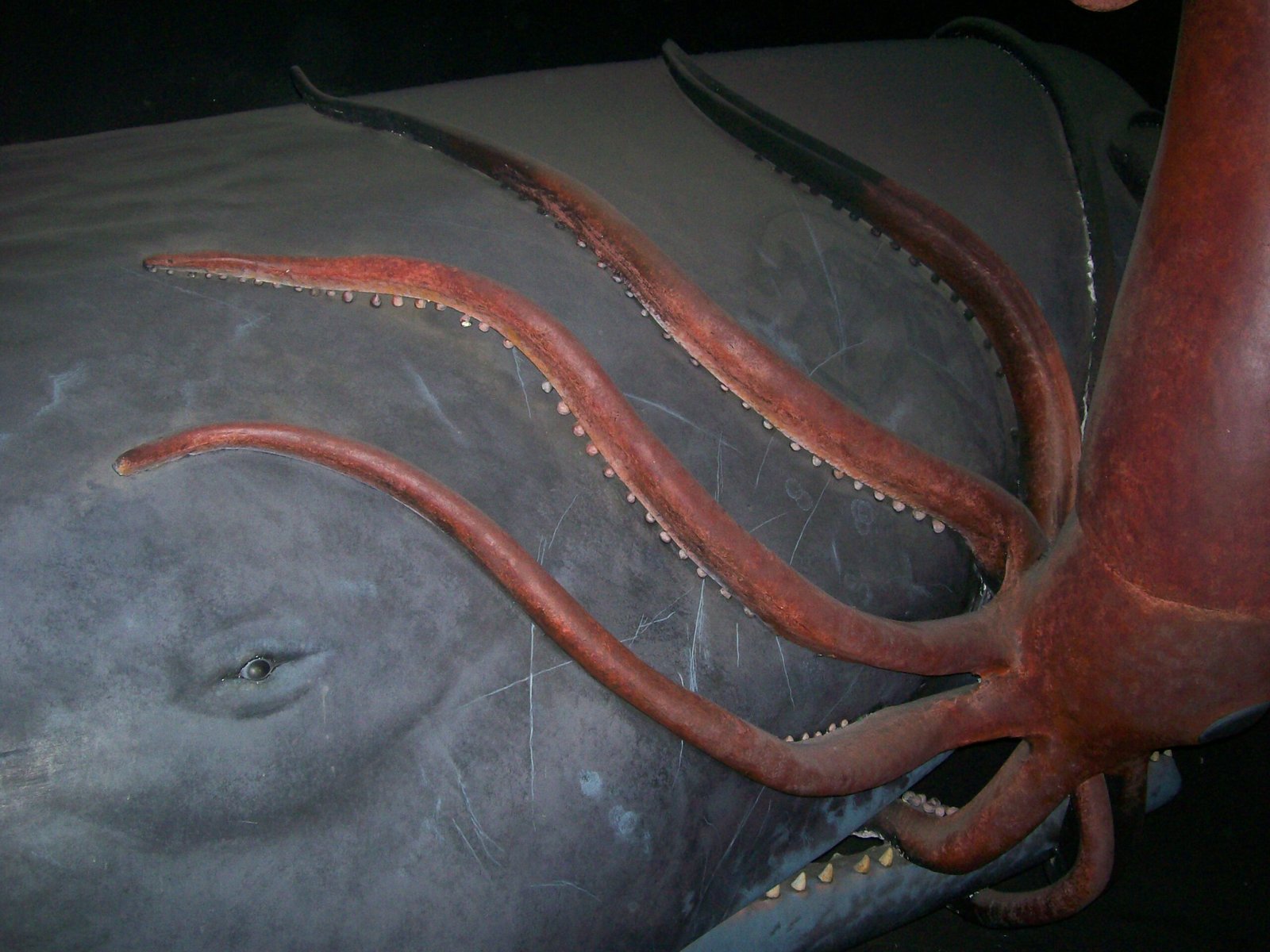 The Giant Squid Hunt (image credits: By WiKiRaW31, Public domain, https://commons.wikimedia.org/w/index.php?curid=5401539)