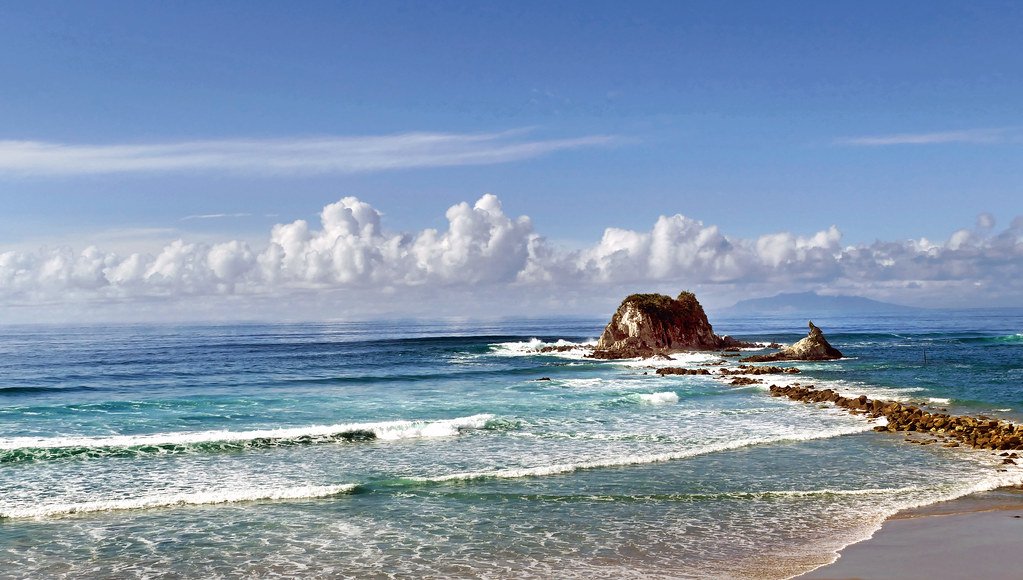 Conservation and Restoration Efforts (image credits: flickr)