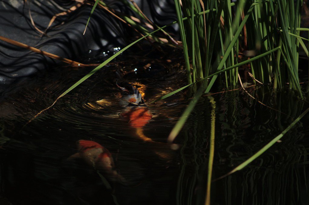 Conclusion (image credits: flickr)