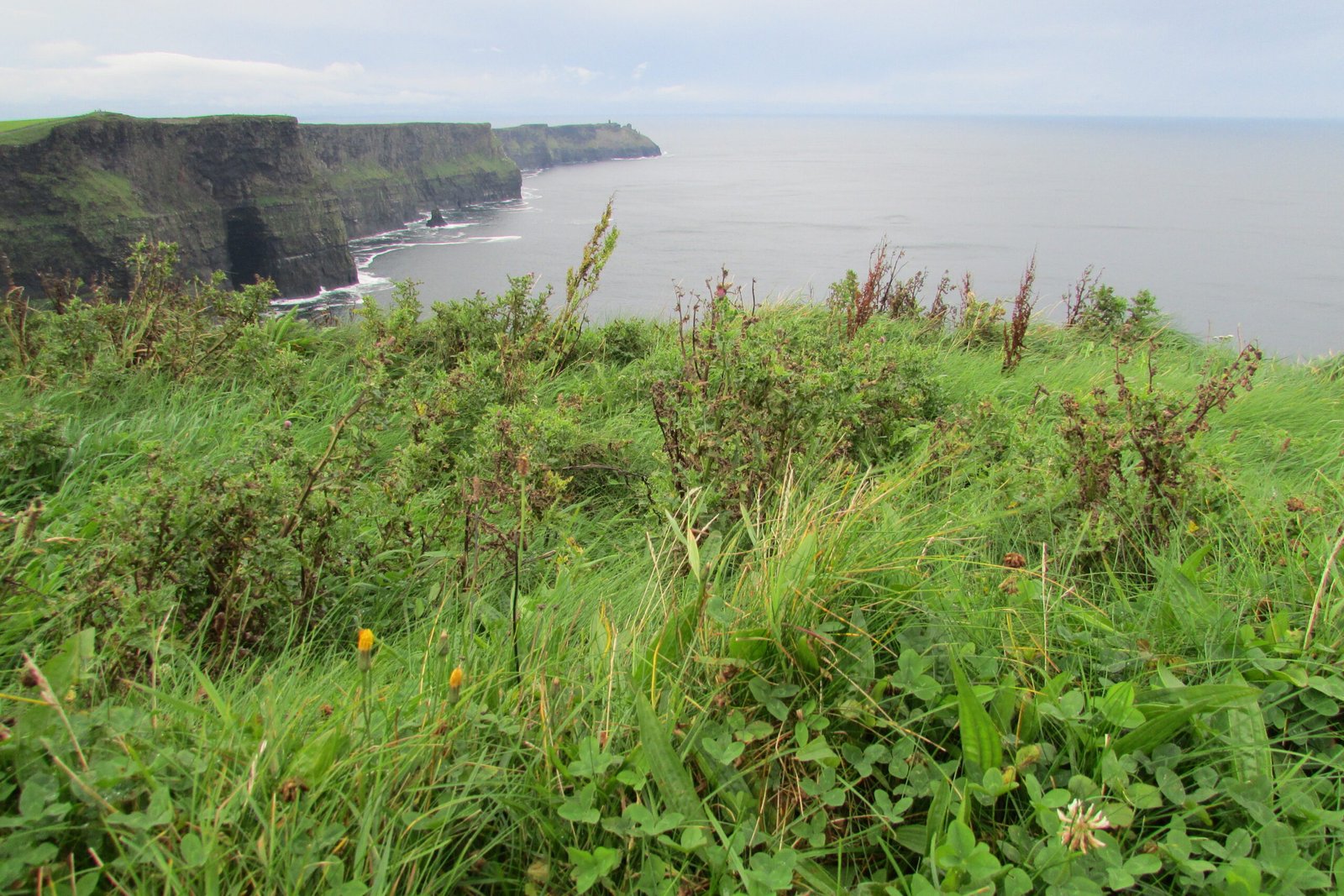 The Mediterranean Immigrants (image credits: wikimedia)