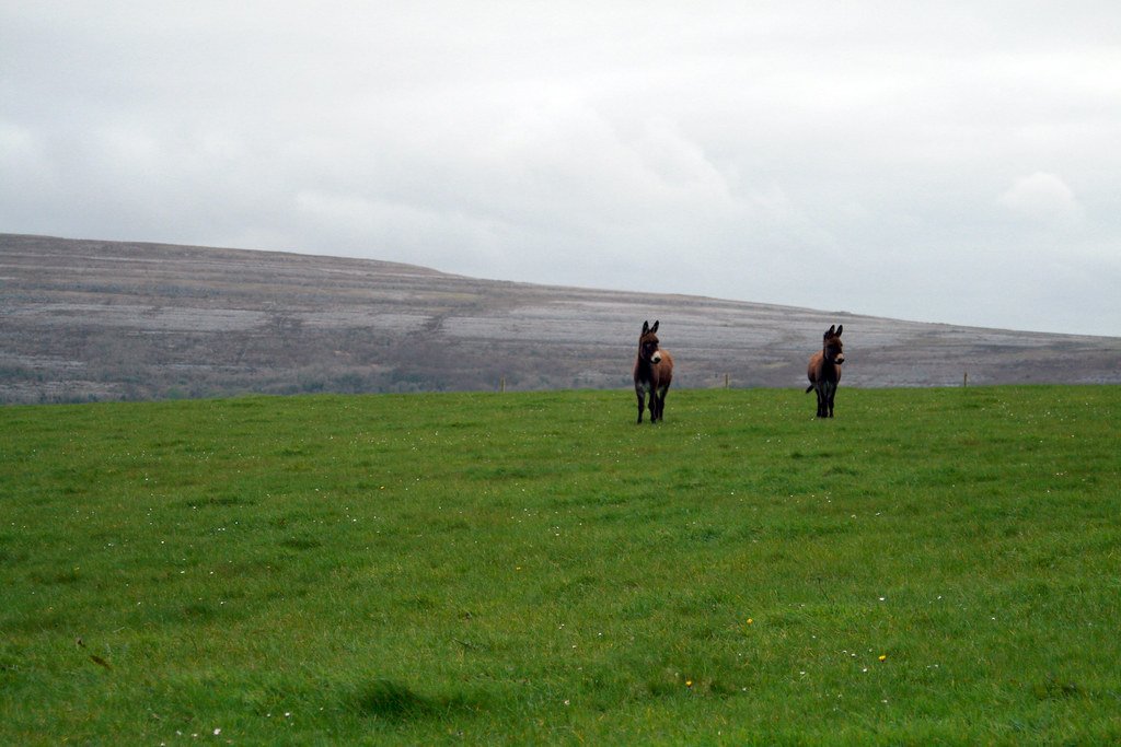 A Living Laboratory (image credits: flickr)