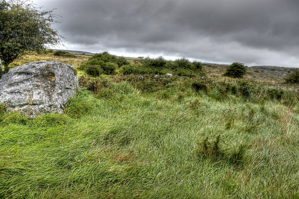 The Future of This Botanical Wonder (image credits: flickr)