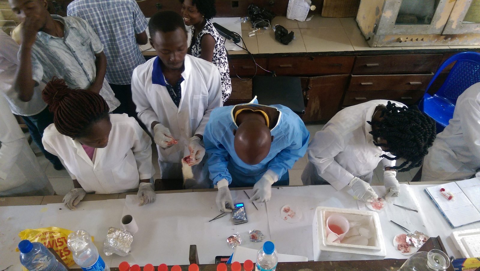 The Ethical Implications of Immortality Research (image credits: By Mistaiyke, CC BY-SA 4.0, https://commons.wikimedia.org/w/index.php?curid=63276320)