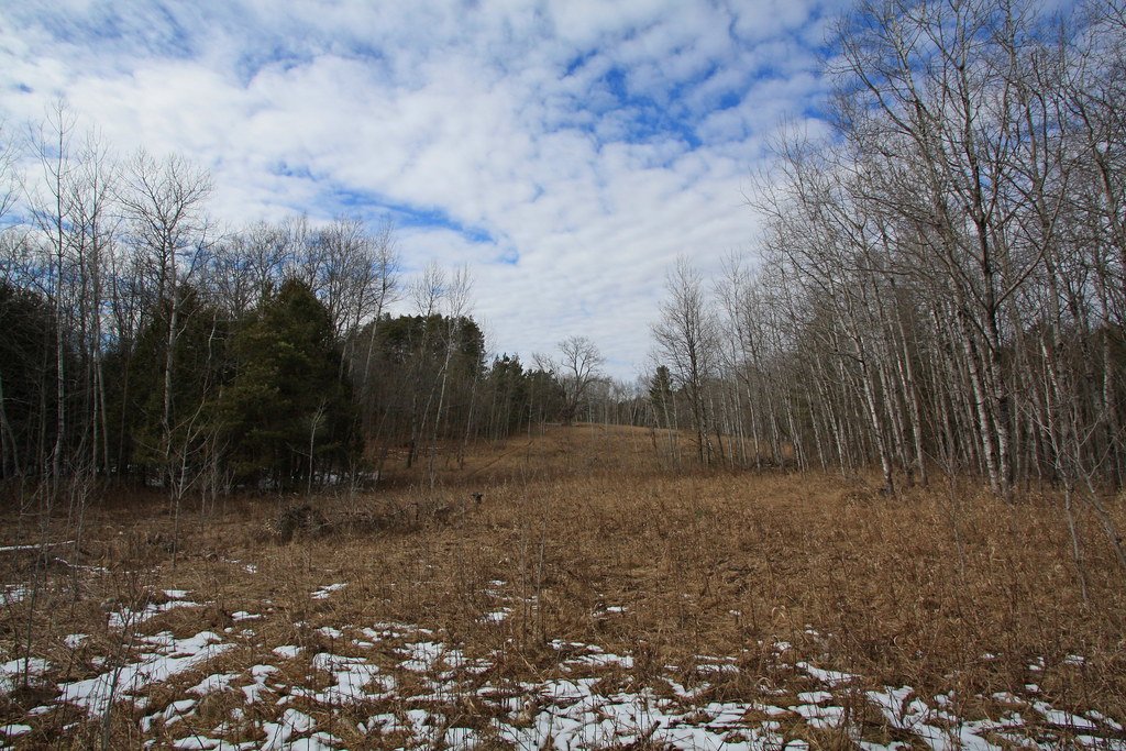 Conservation Challenges and Threats (image credits: flickr)