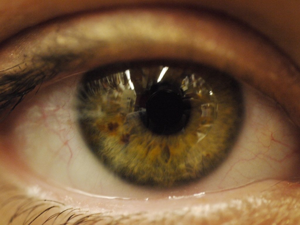 The Three Types of Blinks and Their Coordination (image credits: flickr)