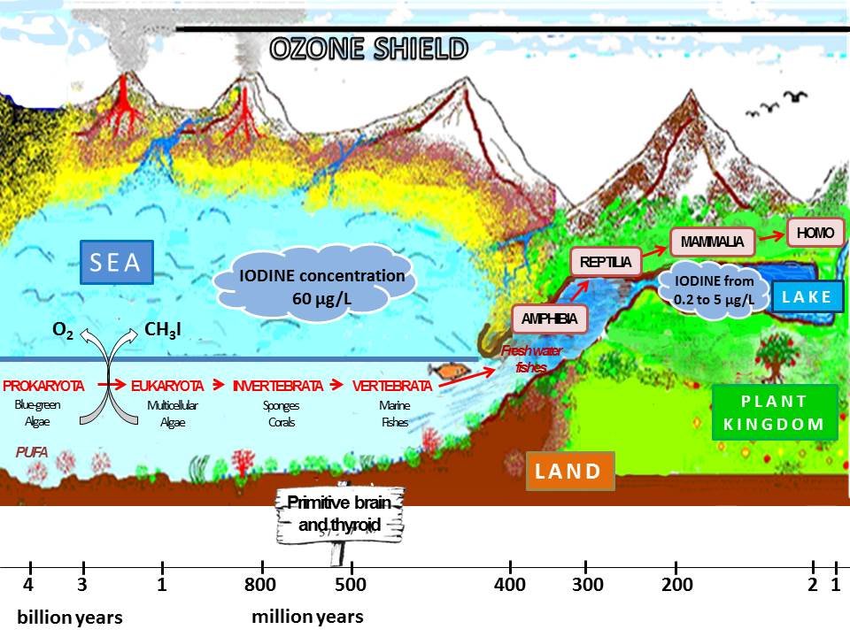 The Great Oxygen Catastrophe That Created Our World (image credits: wikimedia)