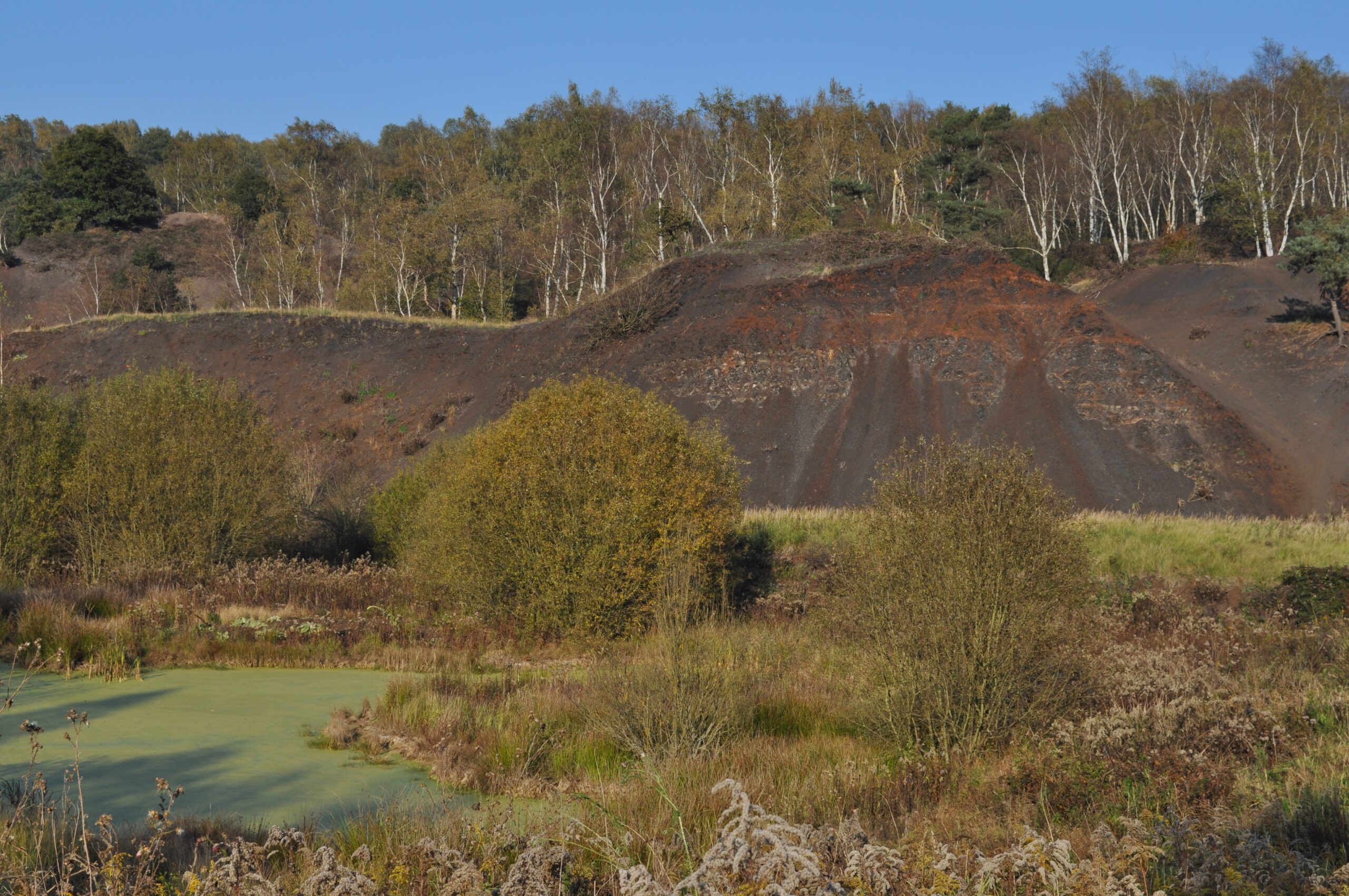 The Geological Marvel Behind Perfect Preservation (image credits: By Mar del Sur, CC BY-SA 3.0, https://commons.wikimedia.org/w/index.php?curid=17095221)