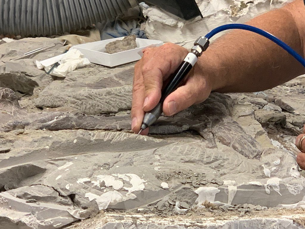 The Art of Extraction (image credits: flickr)