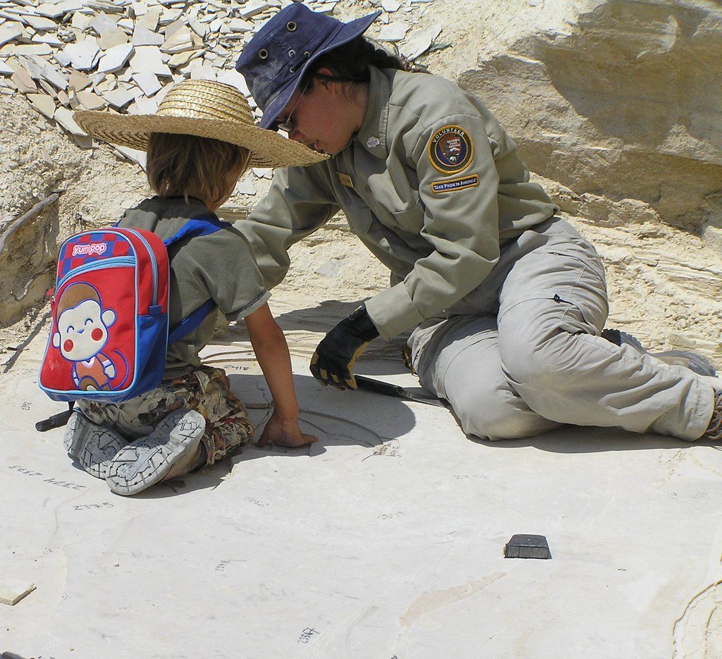 Educational Program Development (image credits: flickr)