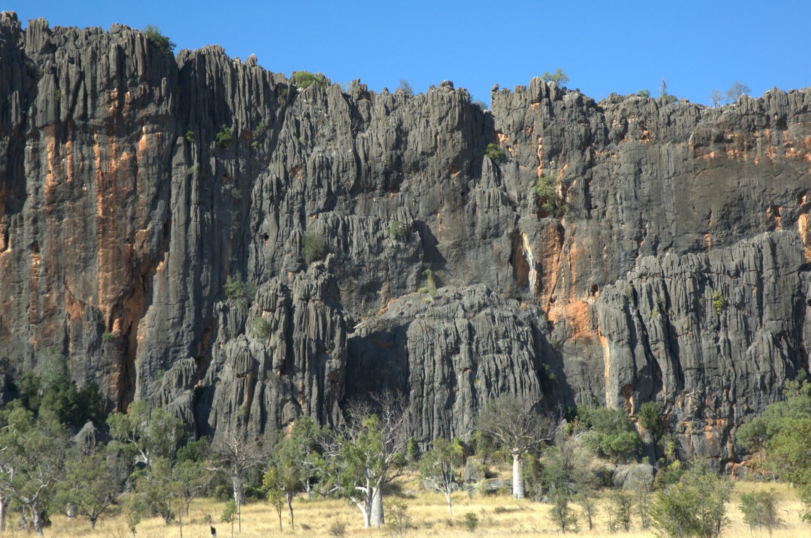 The Devonian Reef Explosion (image credits: wikimedia)